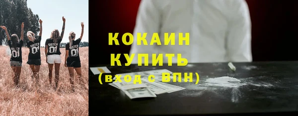трава Няндома