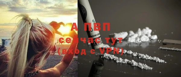 трава Няндома
