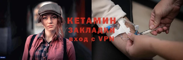 трава Няндома