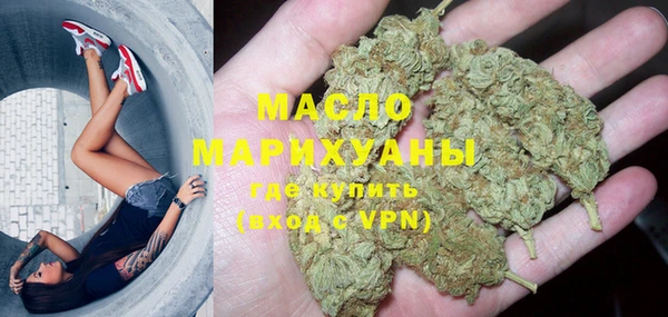 трава Няндома