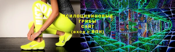трава Няндома