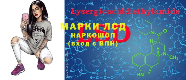 трава Няндома