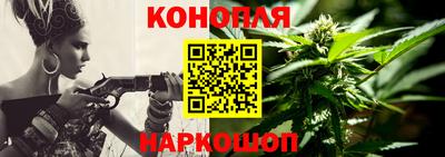 каннабис Кингисепп