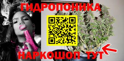каннабис Кингисепп
