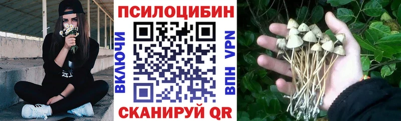 где продают наркотики  Юрга  даркнет формула  Псилоцибиновые грибы мицелий  blacksprut рабочий сайт 