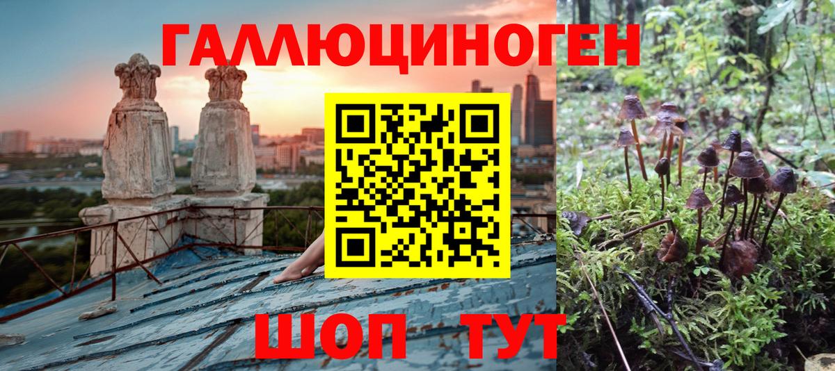 где купить наркоту  Псилоцибиновые грибы мухоморы  Юрга  Вход с VPN  Псилоцибиновые грибы прущие грибы 
